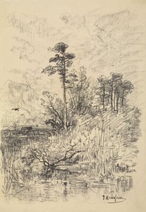Flodlandskap